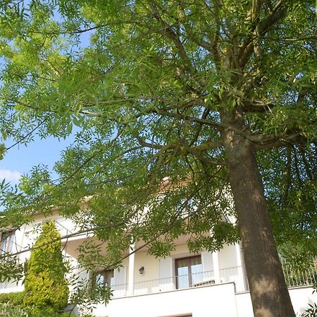 Villa Patrizia مونكالفو المظهر الخارجي الصورة