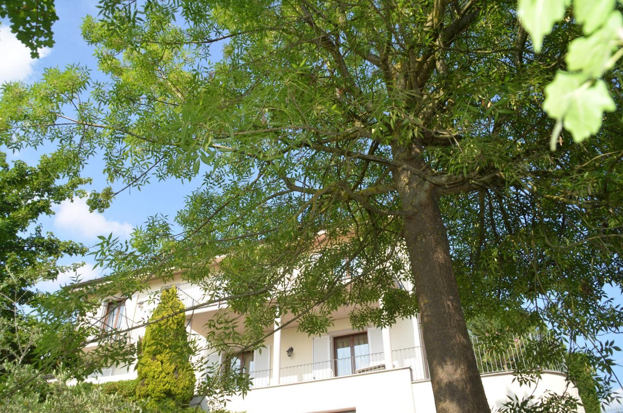 Villa Patrizia مونكالفو المظهر الخارجي الصورة